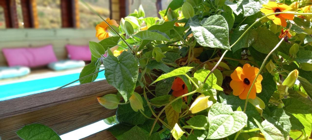 Finca Mariposa Mariposaholidays Nerja Buitenkant foto
