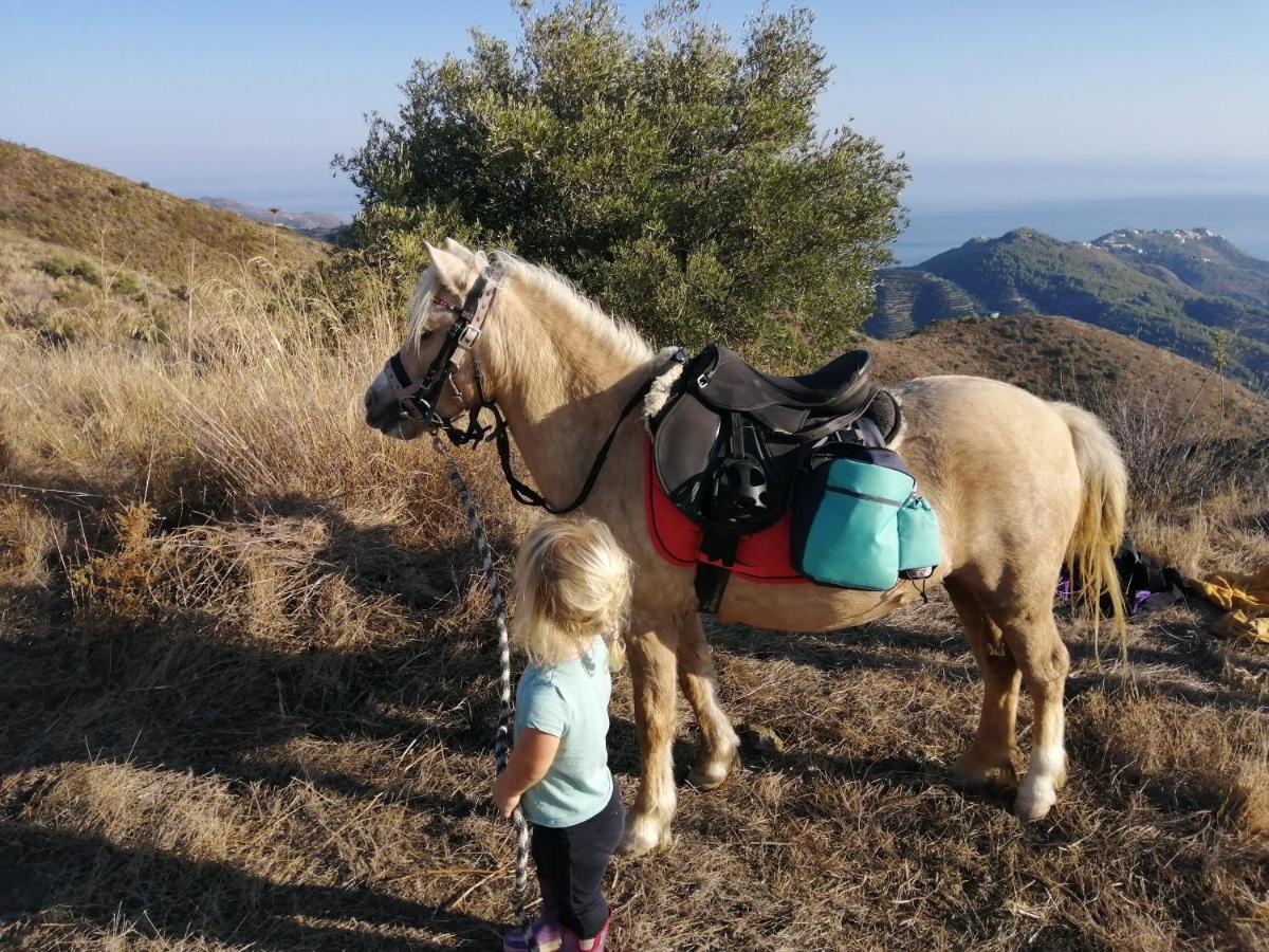 Finca Mariposa Mariposaholidays Nerja Buitenkant foto